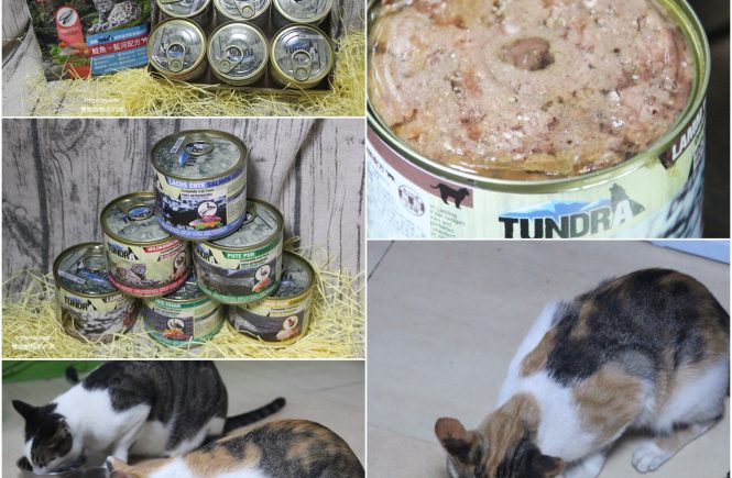 德國TUNDRA 貓咪無穀飼料 | 無榖主食罐 | 自然飲食機能配方 | 愛貓第一步