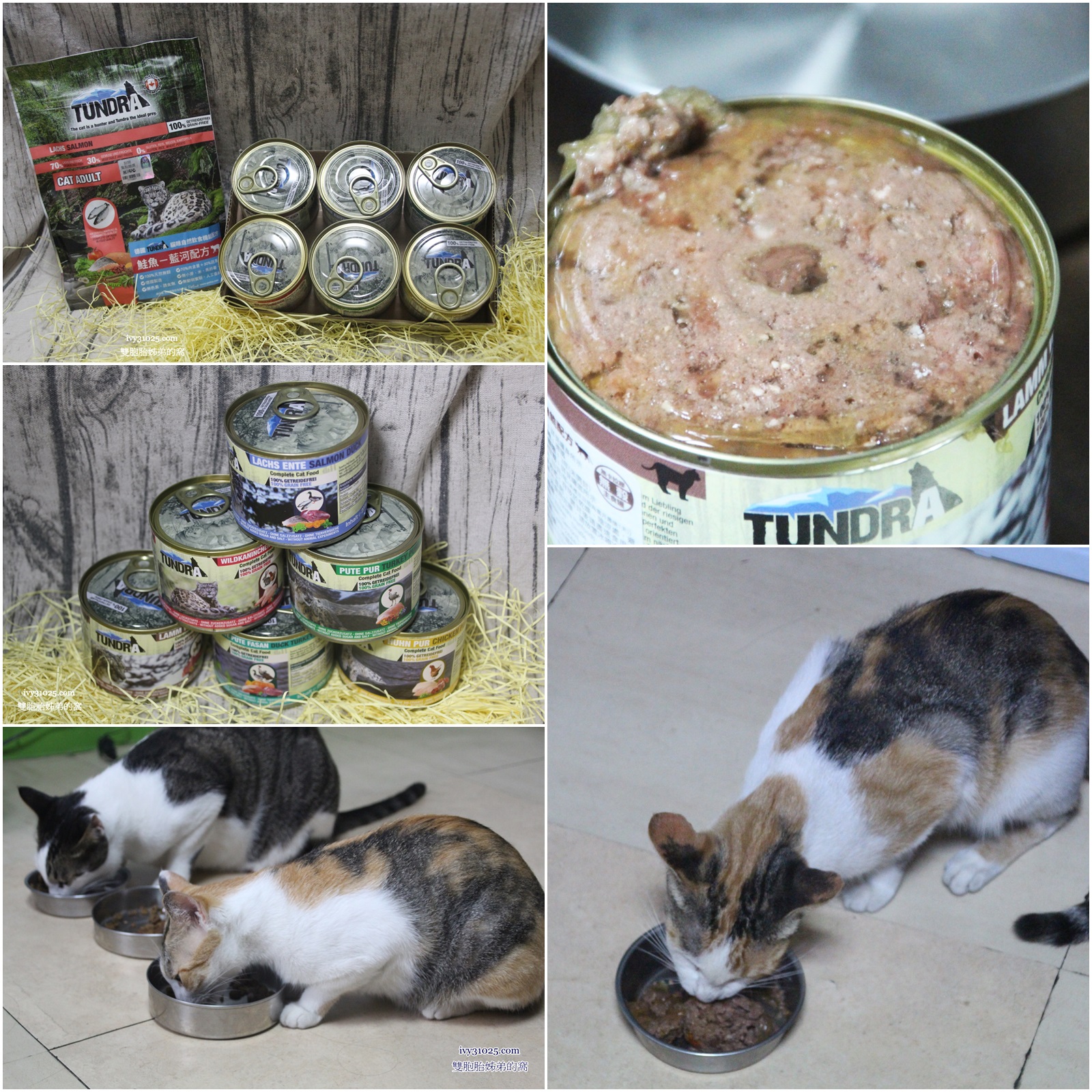 德國TUNDRA 貓咪無穀飼料 | 無榖主食罐 | 自然飲食機能配方 | 愛貓第一步