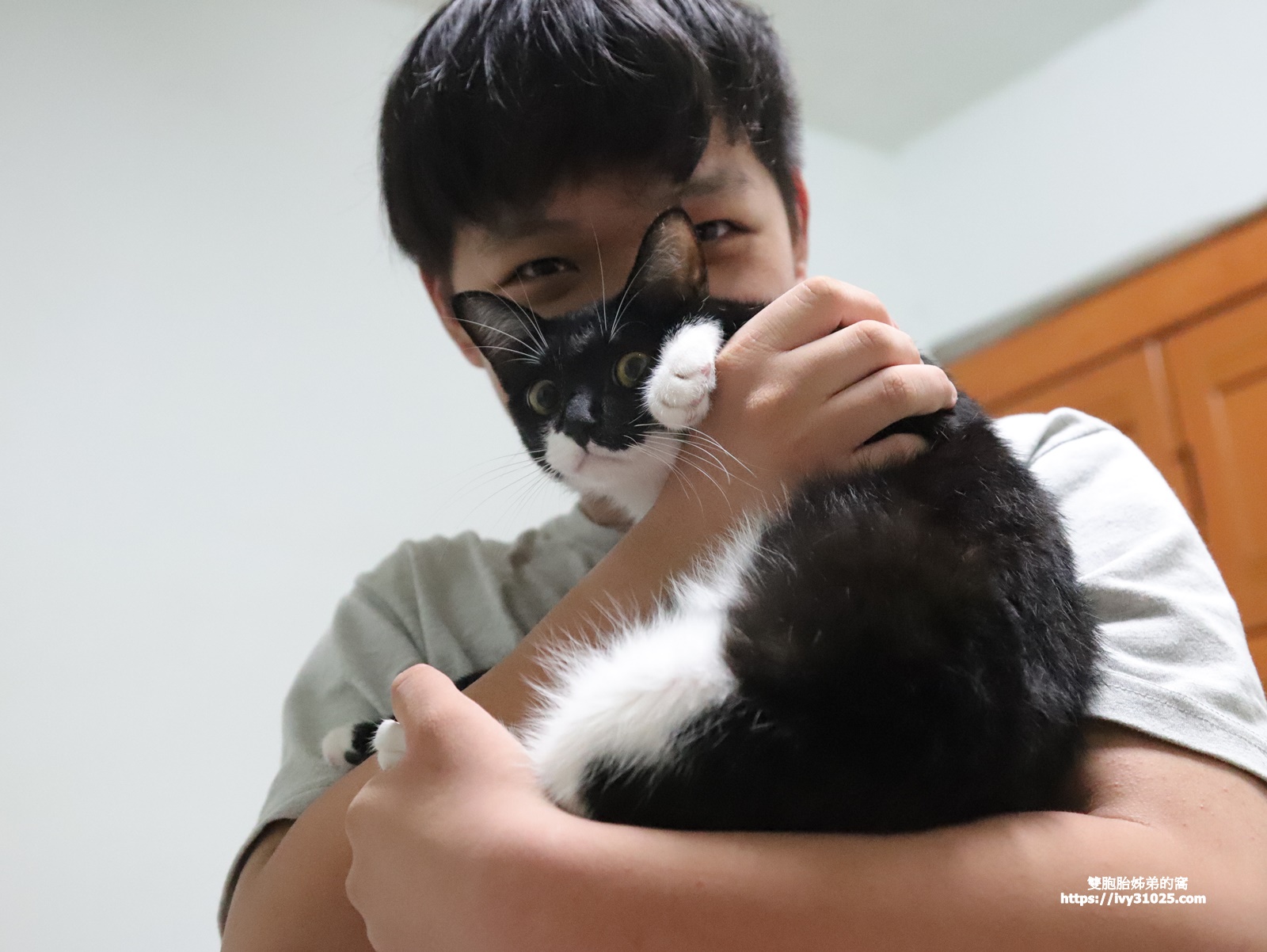 快樂奇毛子 PET CALM 台灣首支專業級寵物情緒益生菌從愛牠開始做起